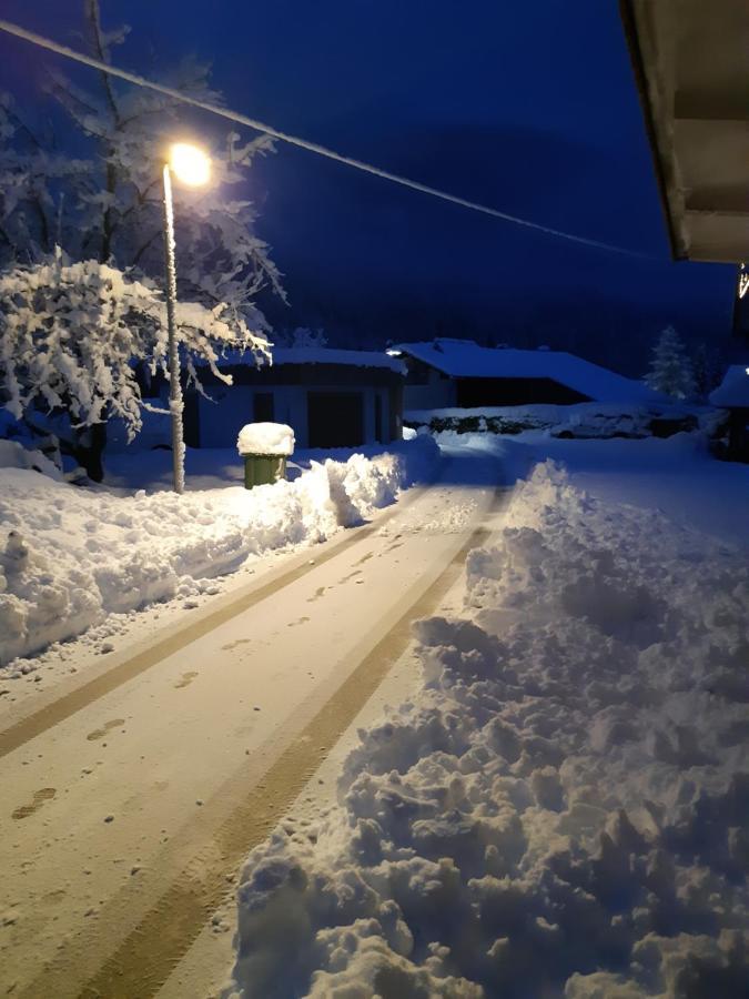 Ferienwohnung Alpska Roza Kranjska Gora Exterior foto